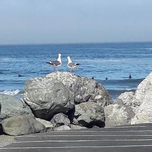 Meet your Posher, Jean